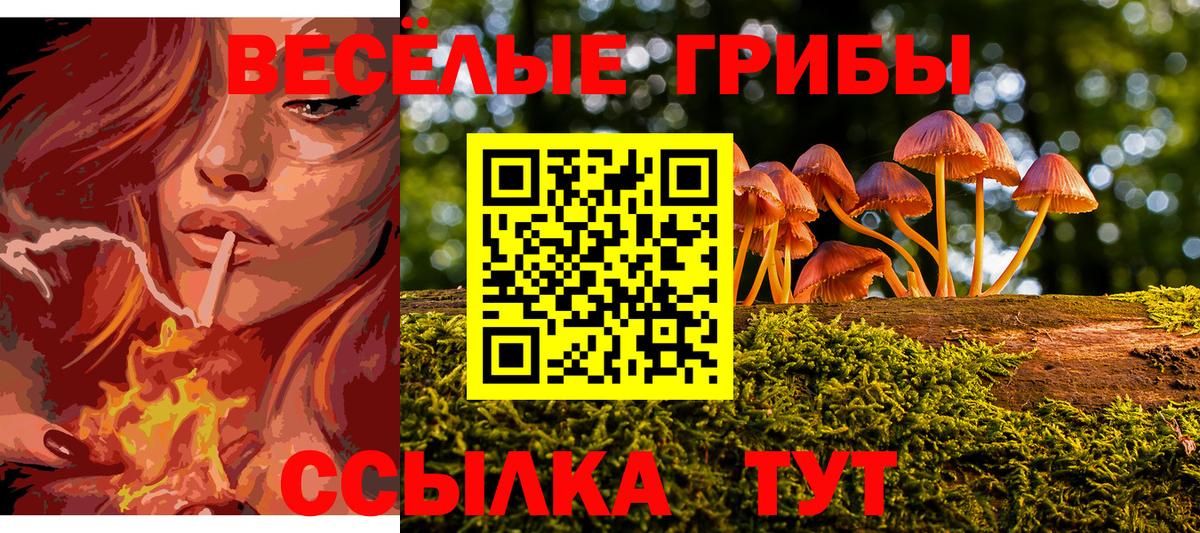 Псилоцибиновые грибы Psilocybine cubensis  Вход с VPN  Дальнереченск 